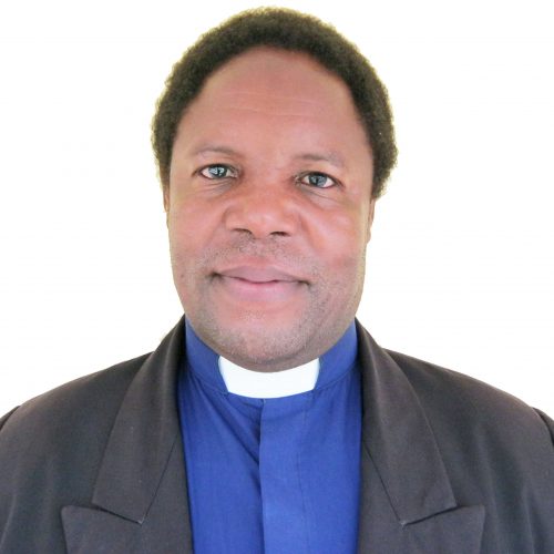 faculty member
