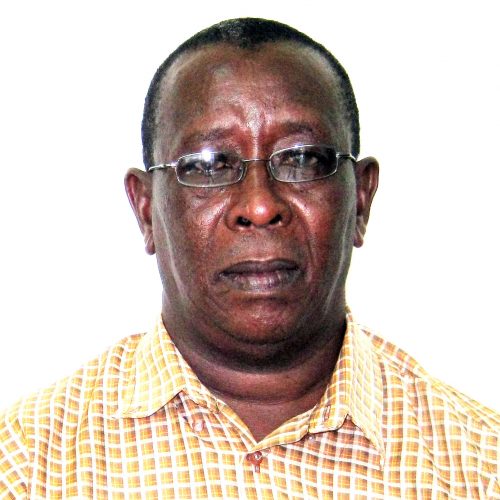 faculty member
