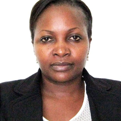 faculty member