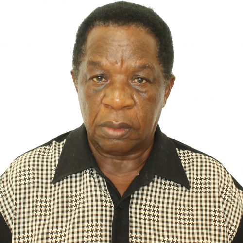 faculty member