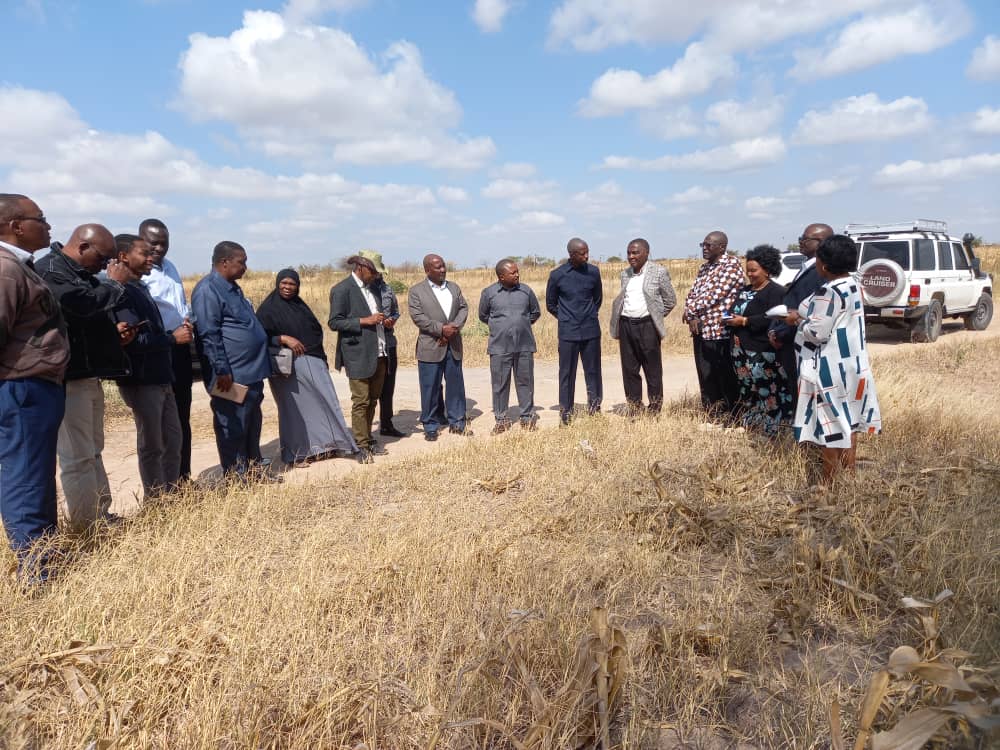 PROF. BISANDA: OUT KUJENGA MAKAO MAKUU DODOMA.